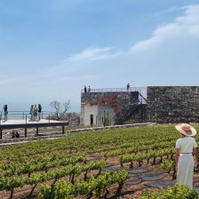 Terreno en Venta en RANCHO LA CAÑADA TUXCUECA, Jalisco