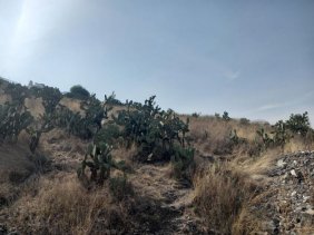 Atención Inversionistas- Terrenos en venta Pirules