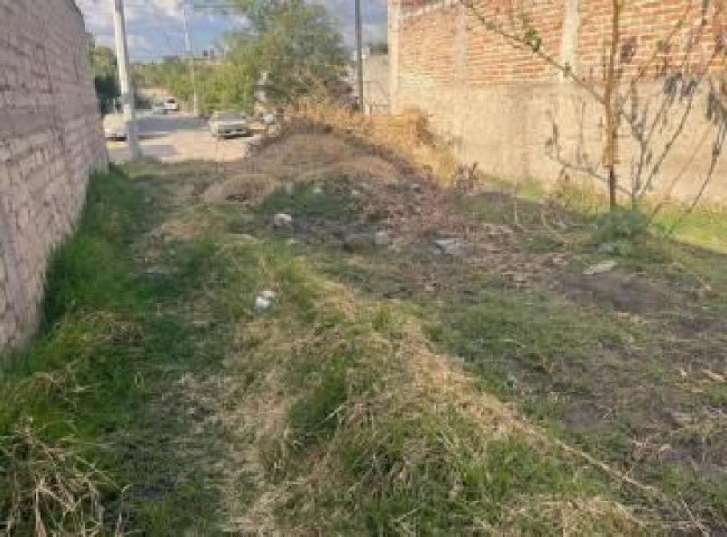 Terreno en venta en Paseos del Valle Tlajomulco de Zuñiga
