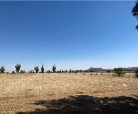 Terreno en Venta en  Pánuco, Zacatecas