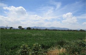 Terreno en Venta en  Fresnillo, Zacatecas