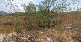 Terreno en Venta en San Isidro Mazatepec San Isidro Mazatepec, Jalisco