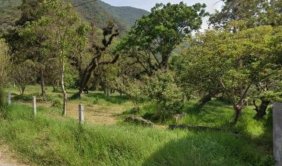 Terreno en Venta en Emancipación Huiloapan de Cuauhtémoc, Veracruz