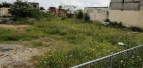 VENTA DE TERRENO EN TALA , CALLE NIÑOS HEROES