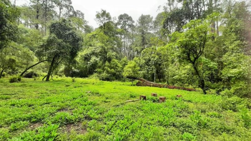 Terreno en Venta en Valle de Bravo México, Mexico