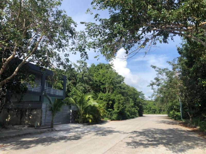 Terreno en Venta en  Playa del Carmen, Quintana Roo