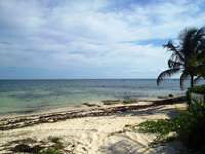 Foto Terreno en Venta en Puerto Morelos, Quintana Roo - U$D 15.000.000 - TEV165249 - BienesOnLine