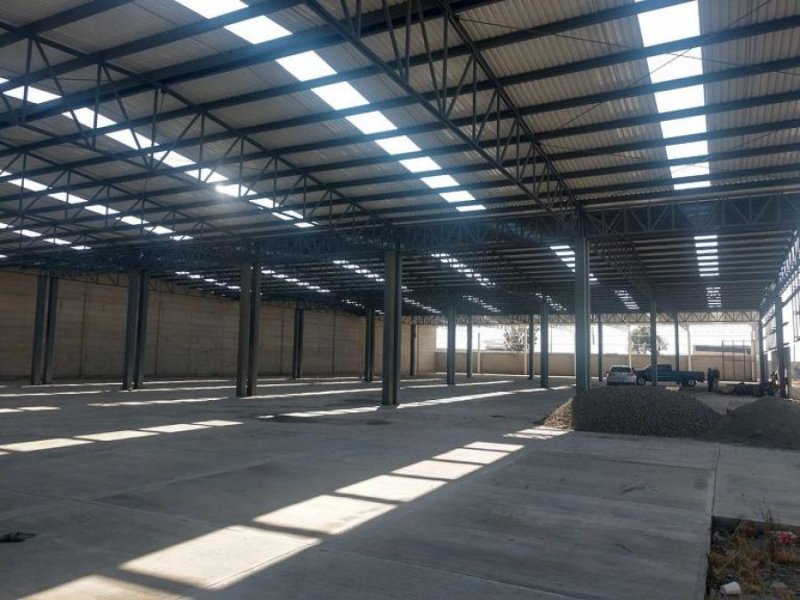 Bodega en Renta en CARRETERA Tolcayuca, Hidalgo