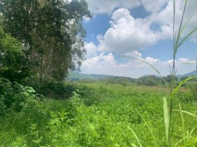 Terreno en Venta en Buenavista Tlajomulco de Zúñiga, Jalisco