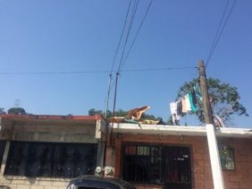 CASA EN VENTA EN LA COLONIA ANTORCHISTA