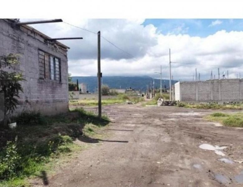 Casa en Venta en Miguel Aleman Martínez de la Torre, Veracruz