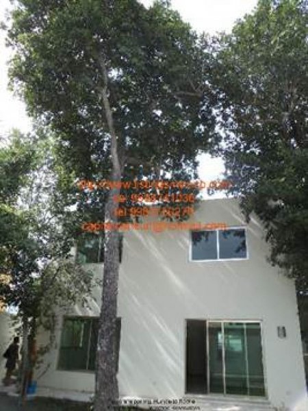 Foto Casa en Venta en Cancún, Quintana Roo - $ 2.700.000 - CAV93321 - BienesOnLine