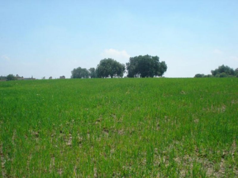 Foto Terreno en Venta en Santa María Tianguistengo, Cuautitlán Izcalli, Mexico - $ 994 - TEV144390 - BienesOnLine