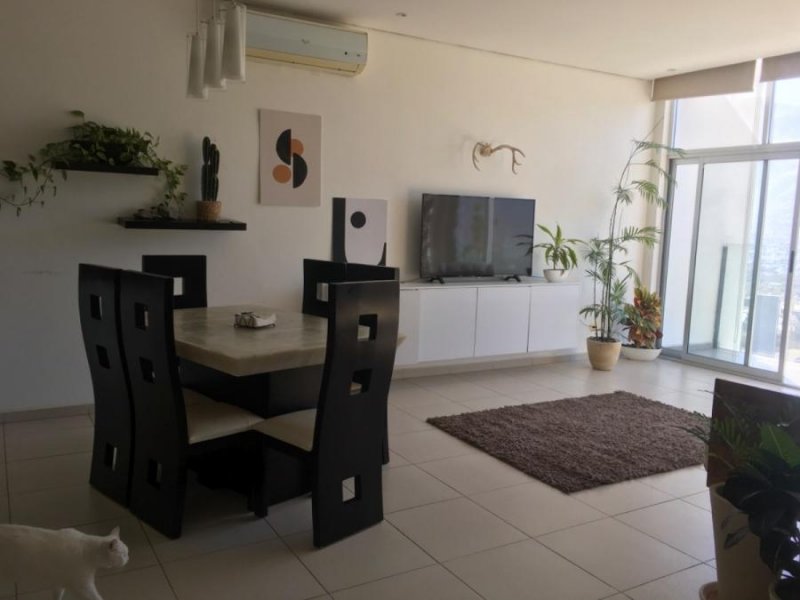Departamento en Renta en Colinas Del Valle Monterrey, Nuevo Leon
