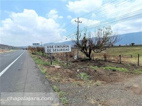 El Molino 3