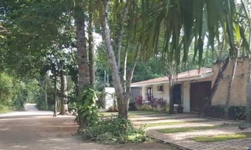Terreno en Venta en  Cancún, Quintana Roo