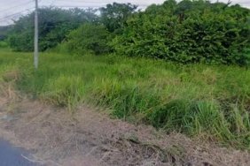 Terreno en Venta en TLALIXCOYAN Piedras Negras, Veracruz