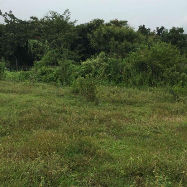 Foto Terreno en Venta en JALMOLONGA, Malinalco, Mexico - $ 844.618 - TEV146027 - BienesOnLine