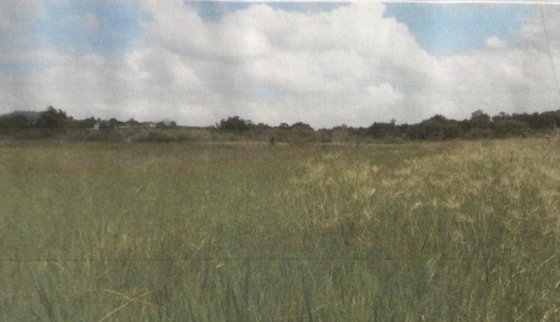 Terreno en Venta en  Zapopan, Jalisco