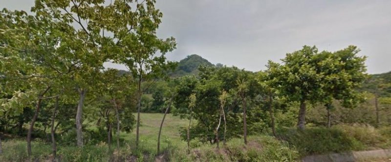 Terreno en Venta en Sinapán (95835) Santiago Tuxtla, Veracruz
