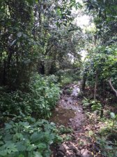 Foto Terreno en Venta en JALMOLONGA, Malinalco, Mexico - $ 2.640.000 - TEV146021 - BienesOnLine