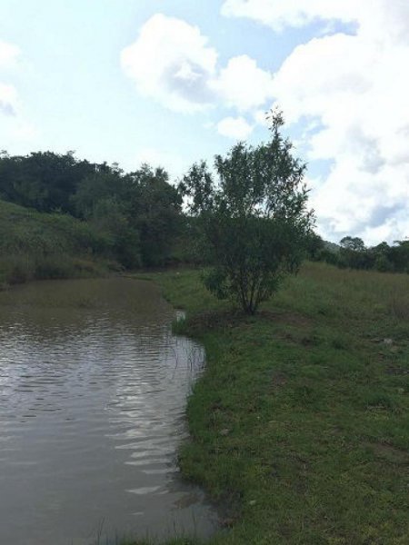 Foto Terreno en Venta en TECOMAZINGO, Miacatlán, Morelos - $ 5.000.000 - TEV146014 - BienesOnLine