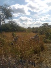 Foto Terreno en Venta en CLUB CAMPESTRE LA VIDA, Cancún, Quintana Roo - $ 750.000 - TEV7946 - BienesOnLine
