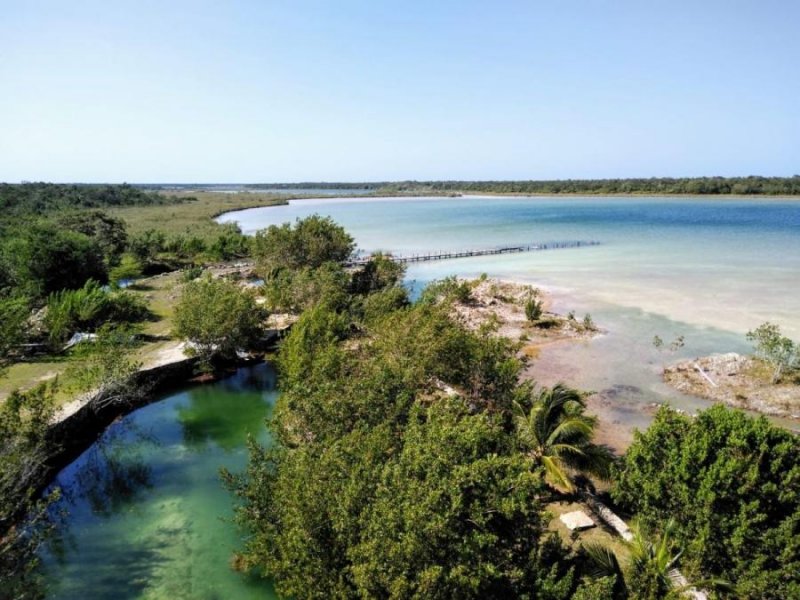 Terreno en Venta en  Felipe Carrillo Puerto, Quintana Roo