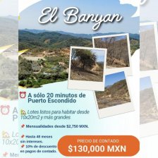 Terreno en Venta en Fraccionamiento El Banyan Puerto Escondido, Oaxaca