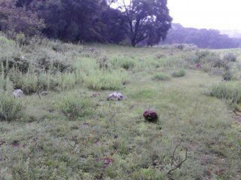 Foto Terreno en Venta en Amealco de Bonfil, Queretaro Arteaga - $ 150.000 - TEV133846 - BienesOnLine
