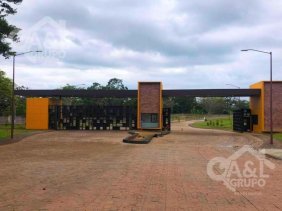 Terreno en Venta en cafetal de las cumbres Coatepec, Veracruz