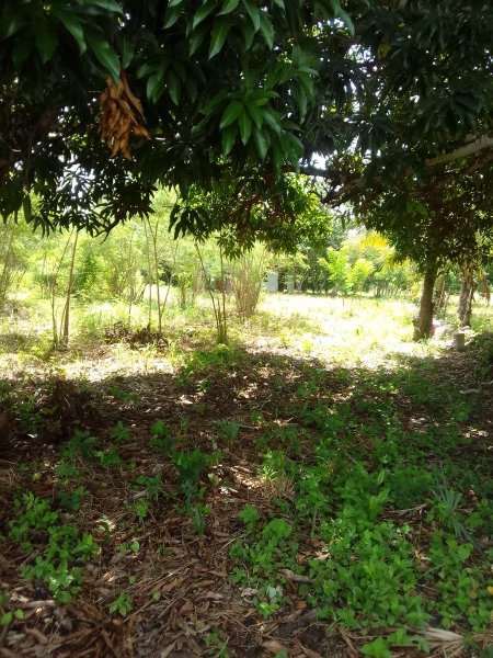 Terreno en Venta en  Campeche, Campeche