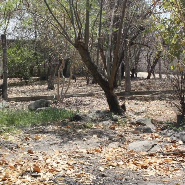 Terreno en Venta en Oaxtepec Centro Yautepec de Zaragoza, Morelos