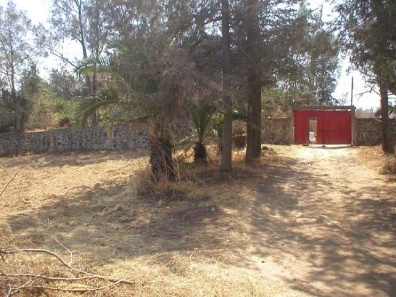 Foto Terreno en Venta en Tlalmanalco de Velázquez, Mexico - 5 hectareas - $ 380 - TEV11098 - BienesOnLine