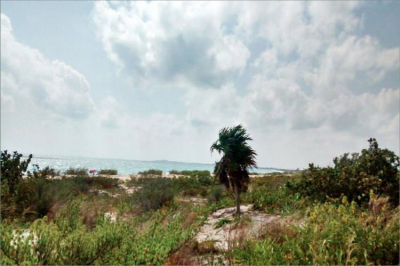 Foto Terreno en Venta en Isla Blanca, Isla Mujeres, Quintana Roo - 1 hectareas - $ 74.047.140 - TEV208788 - BienesOnLine
