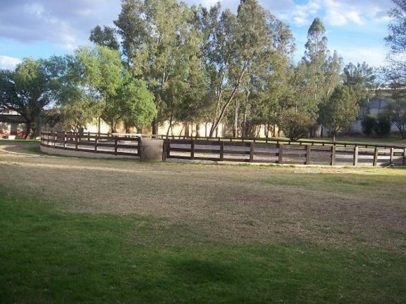 Foto Finca en Venta en San Agustín, Jalisco - $ 48.000.000 - FIV19386 - BienesOnLine