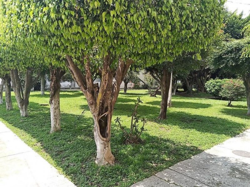 Departamento en Venta en zona LA CALMA Zapopan, Jalisco