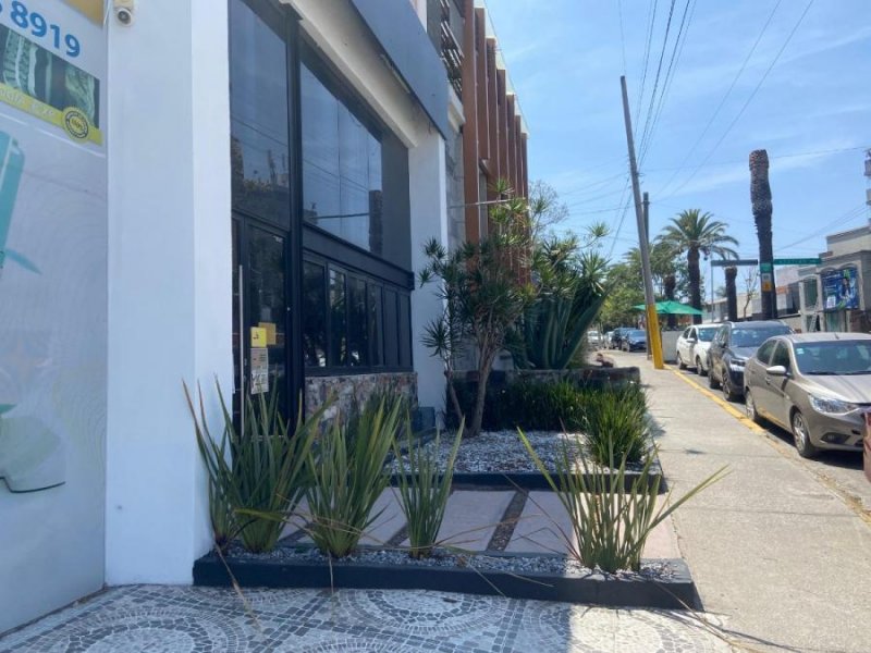 PROPIEDAD COMERCIAL EN RENTA COLONIA LA PAZ