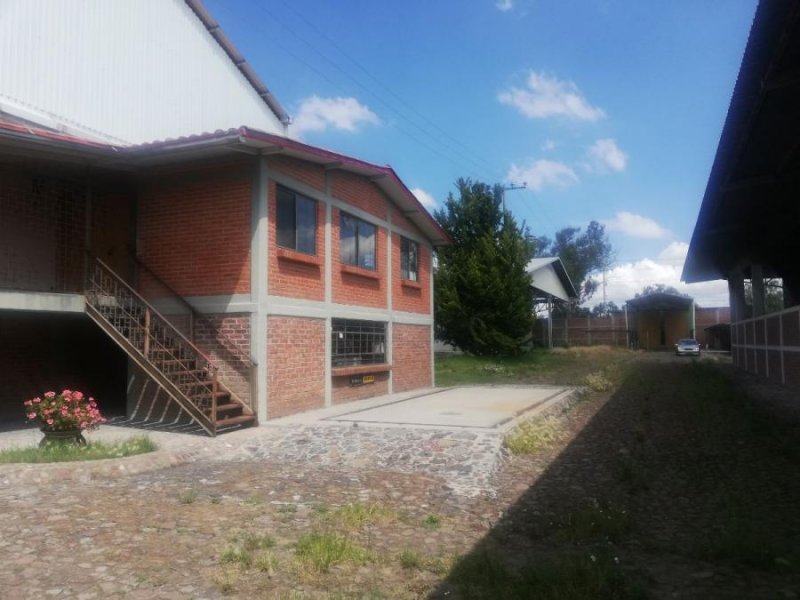 Foto Rancho en Venta en San Sebastián, Mexico - $ 35.000.000 - RAV252840 - BienesOnLine
