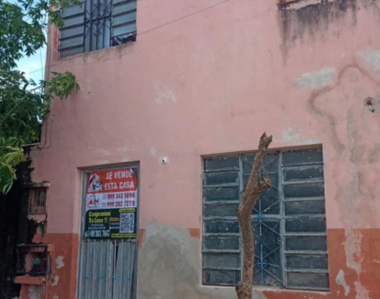 SAN ANTONIO XLUCH 