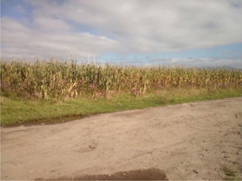 Foto Terreno en Venta en Jocotitlán, Mexico - $ 150 - TEV139233 - BienesOnLine