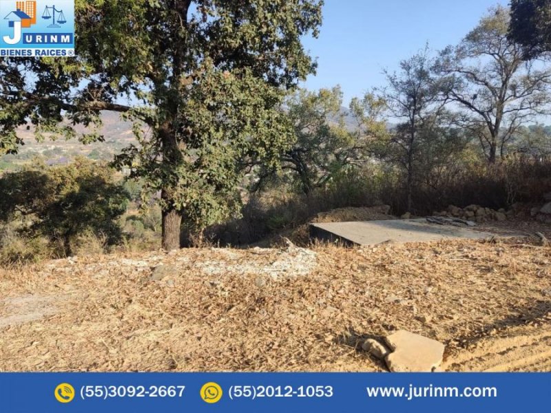 Terreno en Venta en  Tepetlixpa, Mexico