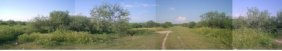 Foto Terreno en Venta en Las Animas, Navojoa, Sonora - $ 2.100.000 - TEV110415 - BienesOnLine