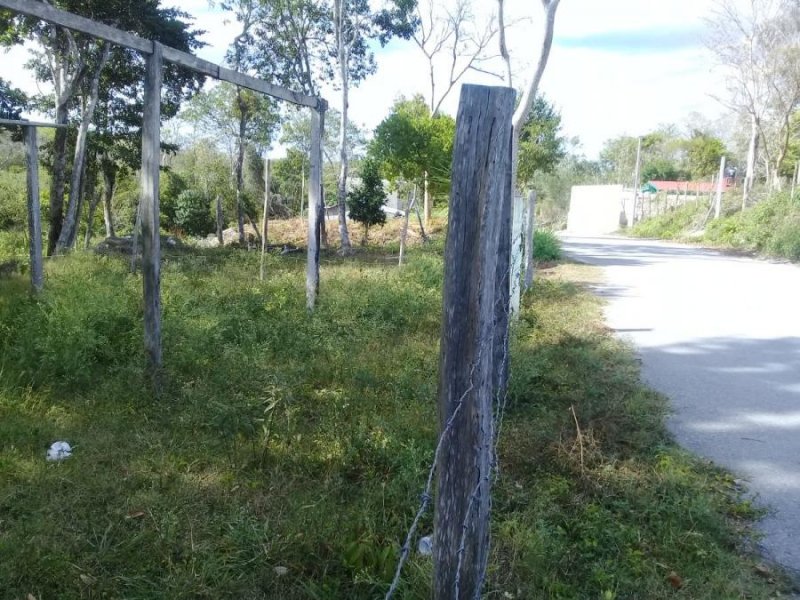 Foto Terreno en Venta en Xpujil, Campeche - $ 350.000 - TEV327135 - BienesOnLine