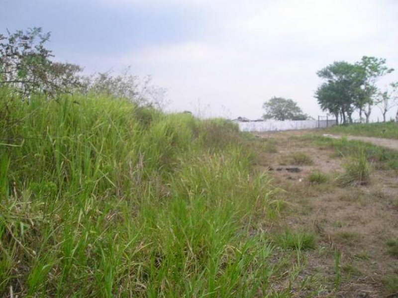 Foto Terreno en Venta en Estacion Chontalpa, Tabasco - $ 900.000 - TEV217 - BienesOnLine