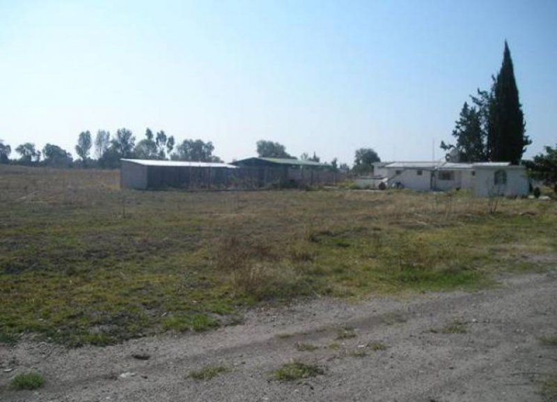 Foto Terreno en Venta en Tepeaca, Puebla - $ 26.000.000 - TEV213 - BienesOnLine