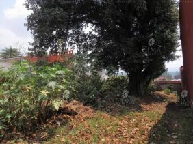 TERRENO BIEN UBICADO EN VENTA