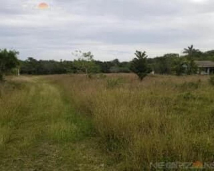 Foto Terreno en Venta en tlalcopan, Teloloapan, Guerrero - $ 330.000 - TEV315271 - BienesOnLine