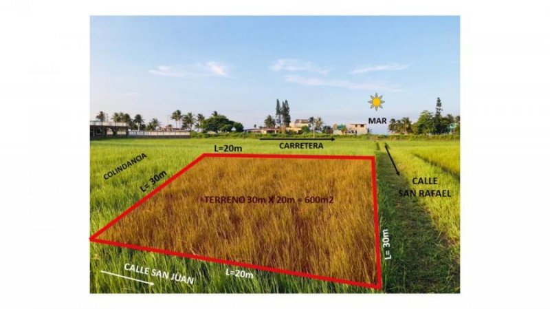 Terreno en Venta en FRACC. SAN FRANCISCO,  LA VIGUETA, TECOLUTLA-VERAC Tecolutla, Veracruz