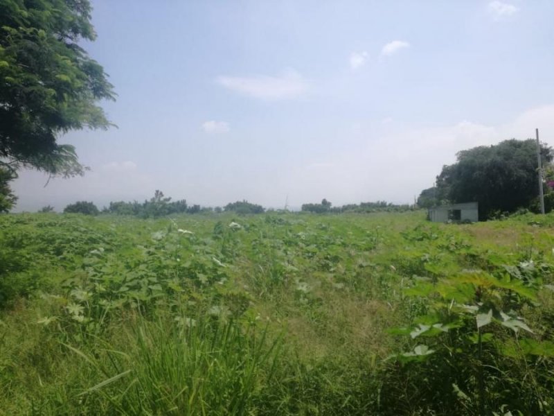 Foto Terreno en Venta en Casasano, Cuautla, Morelos - $ 2.000 - TEV261797 - BienesOnLine